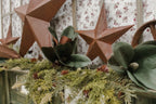Farmhouse Star