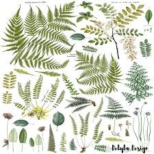 Fronds Botanical 14.25 x 24" Decor Transfer