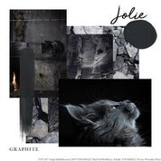 Jolie Paint - Graphite