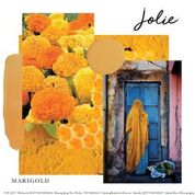 Jolie Paint - Marigold