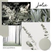 Jolie Paint - Eucalyptus