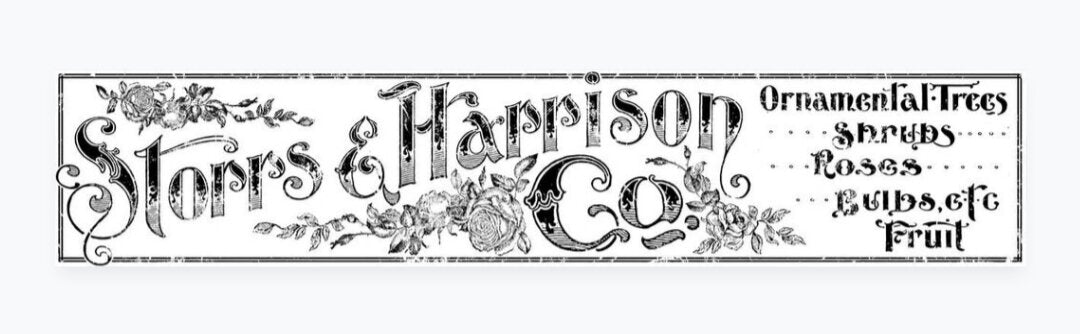 Storrs & Harrison 12 x 60" Decor Transfer